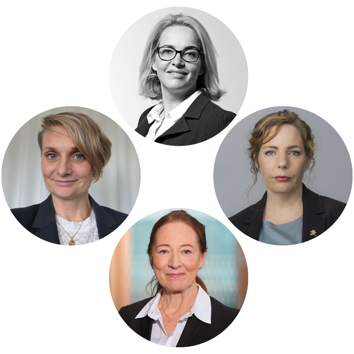 Paneldebatt - Rättssäkerhet i jakten på välfärdsbrottslingarna
